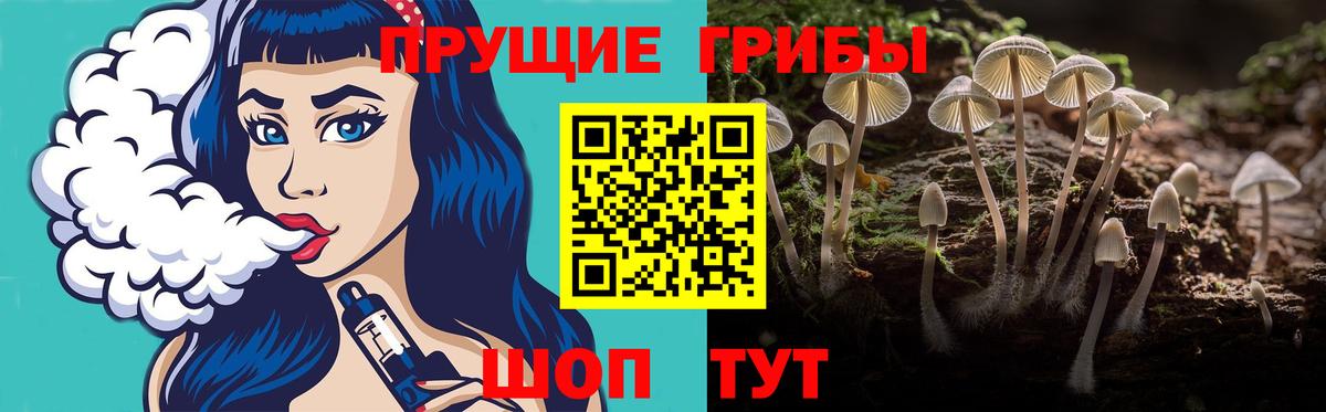 Алексин  Псилоцибиновые грибы мицелий  купить наркотик  Галлюциногенные грибы прущие грибы  Вход с VPN 